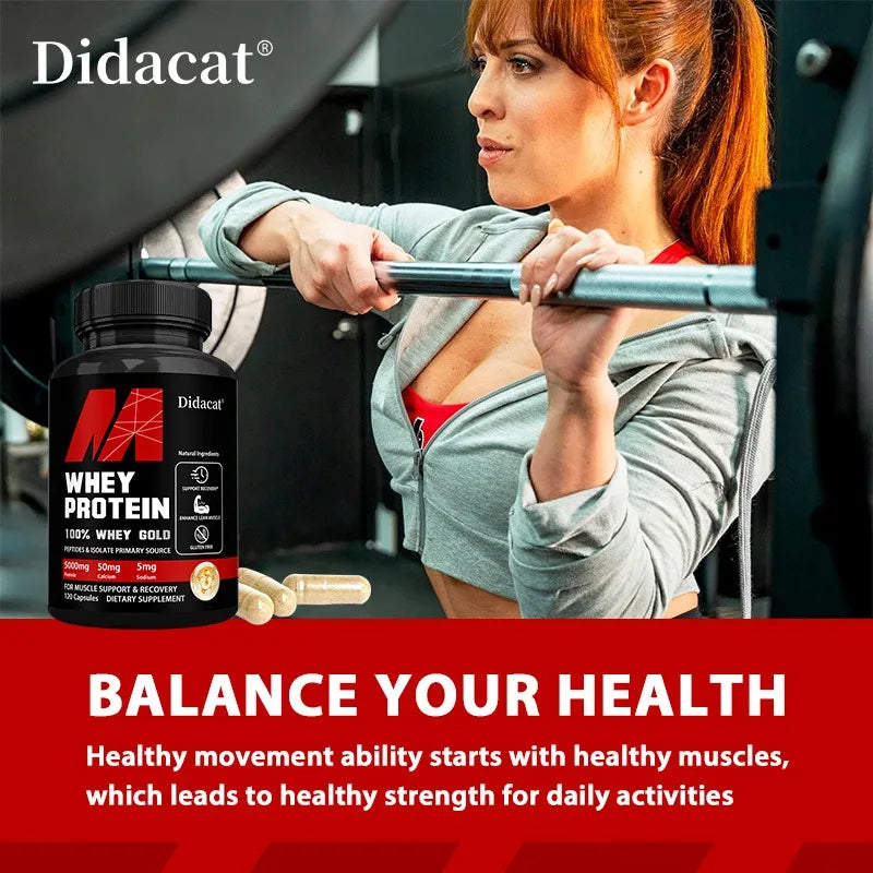 Didacat Whey Protein Concentrate 5000mg – Gluten Free, Non-GMO Protein Supplement Qst