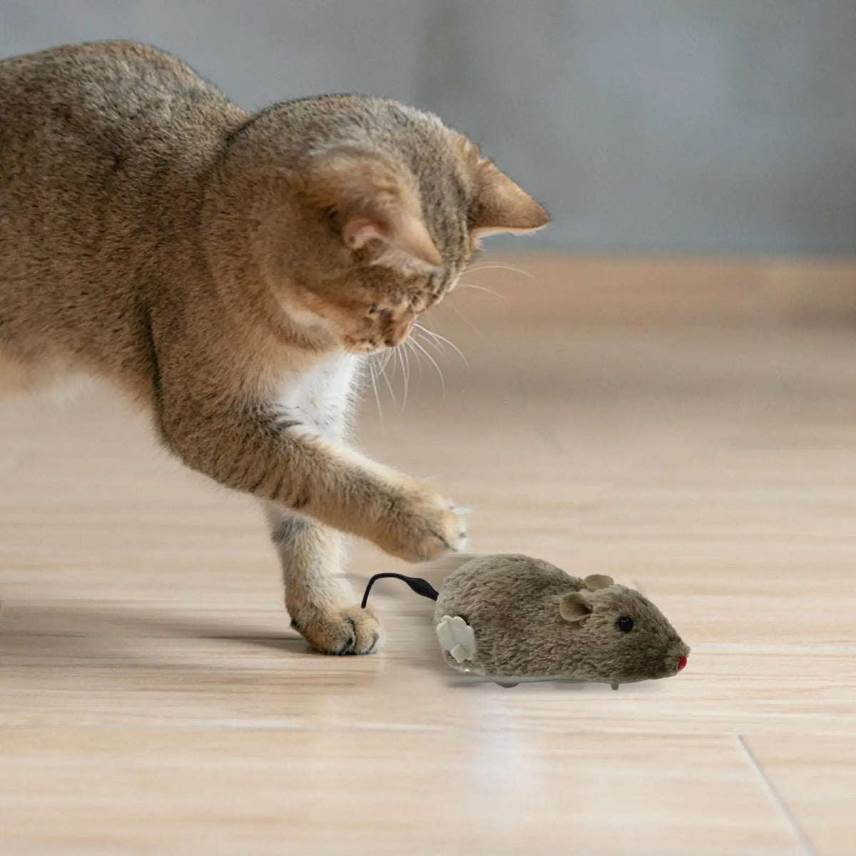 Wind-Up Mouse Cat Toy – Interactive Chasing Plush Kitten Toy Interactive Cat Toy Qme