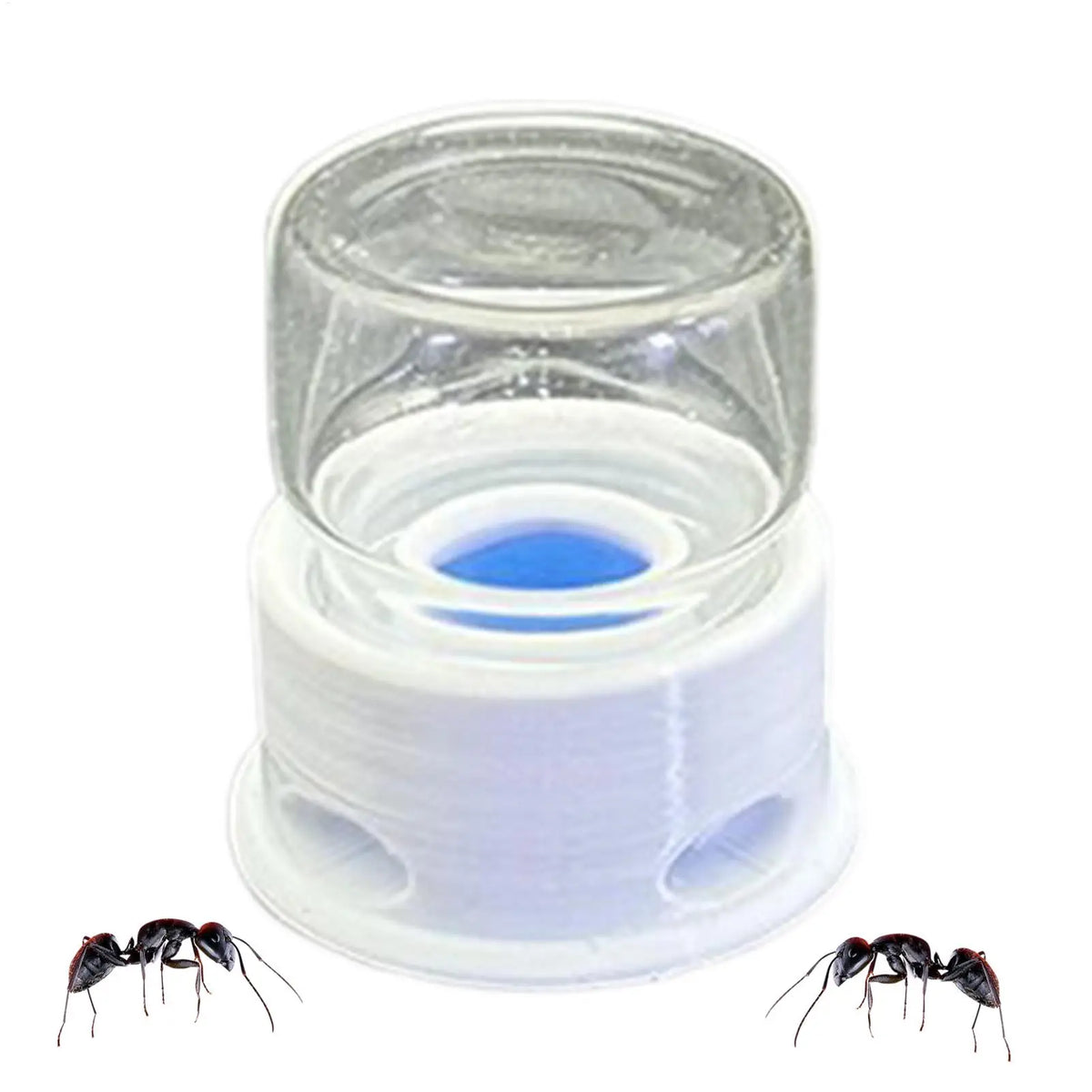 Ant & Bee Liquid Feeder – Transparent Leakproof 12ml Water Station Insect Habitat Feeder Qme