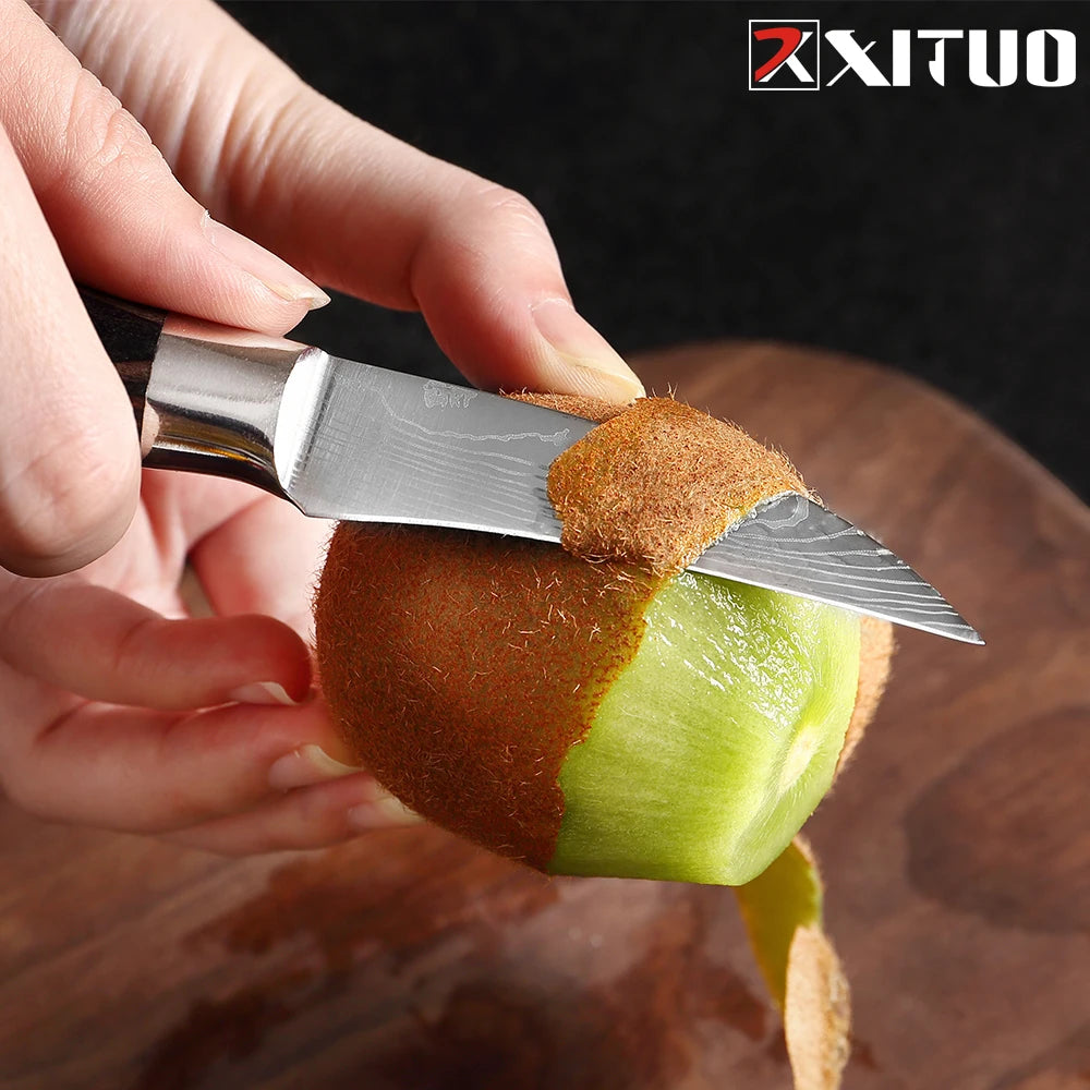 Xituo Damascus Curved Paring Knife – Fruit & Veggie Peeler Paring Knife Qst
