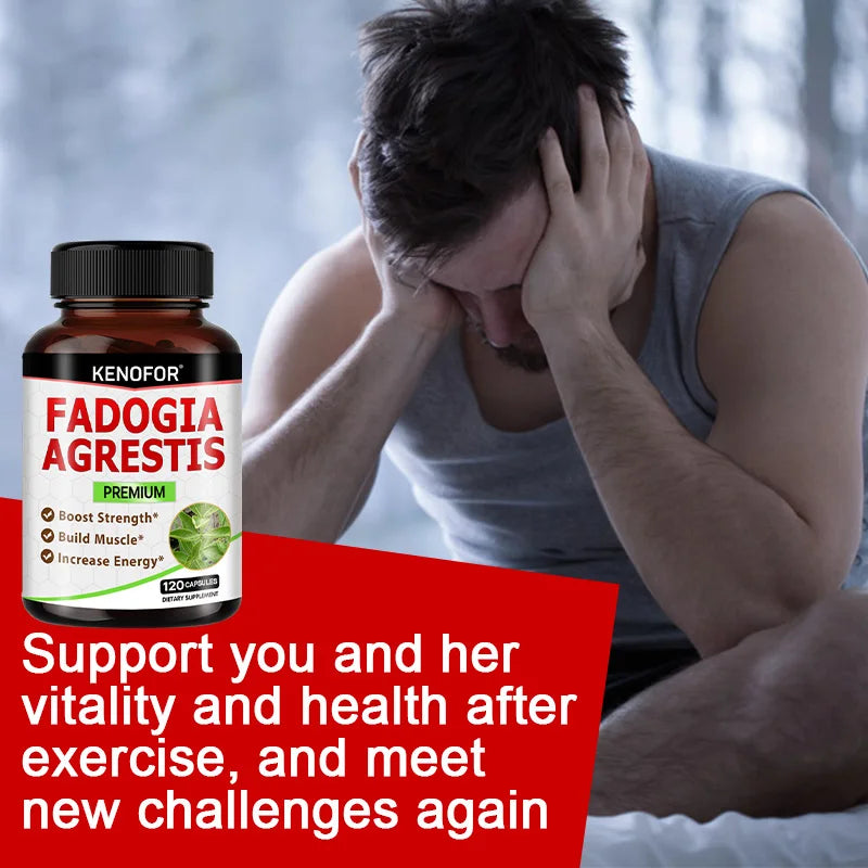 Fadogia Agrestis 800mg – Maca, Ashwagandha & Tribulus Capsules Herbal Supplement Capsules Qst