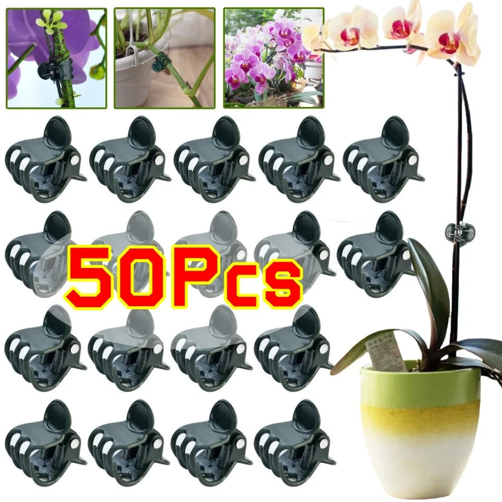 6-Claw Plant Clips 10-Pack | Orchid & Climbing Stem Support Plant Support Clips Qme