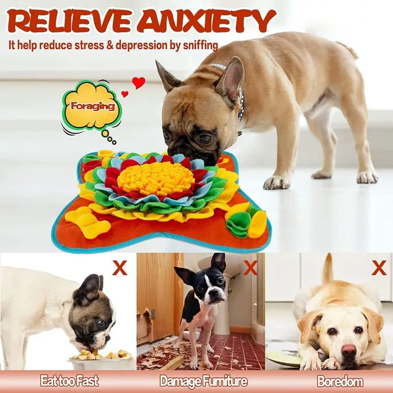 Dog Snuffle Mat – Portable Nose Training & Snack Mat | Qme Dog Snuffle Mat Qme