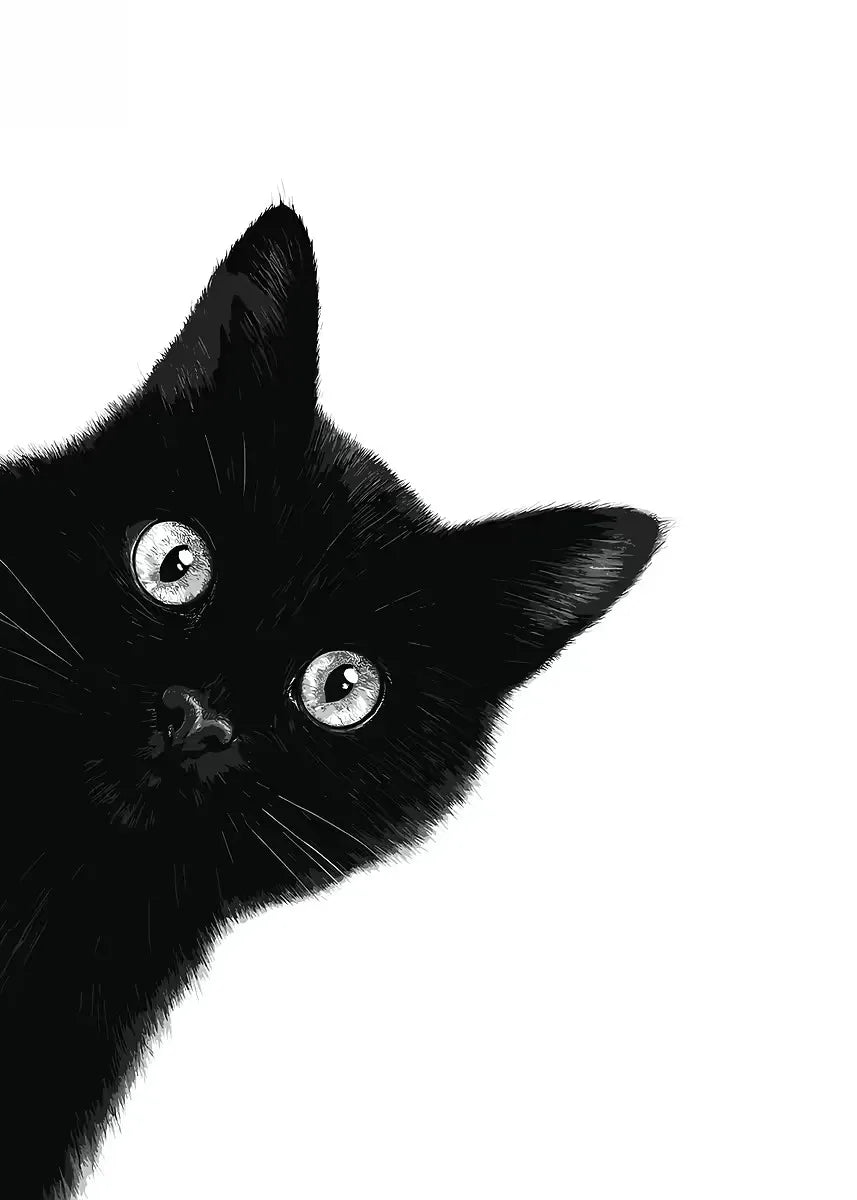 Peeking Black Cat Canvas Wall Art – Minimalist Cat Poster Canvas Wall Art Qst xx-6 20x30cm Unframed