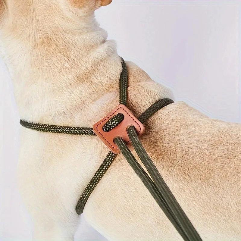 Adjustable Nylon Dog Harness Leash | Chest Strap, 6 Colors Dog Harness Leash Qme