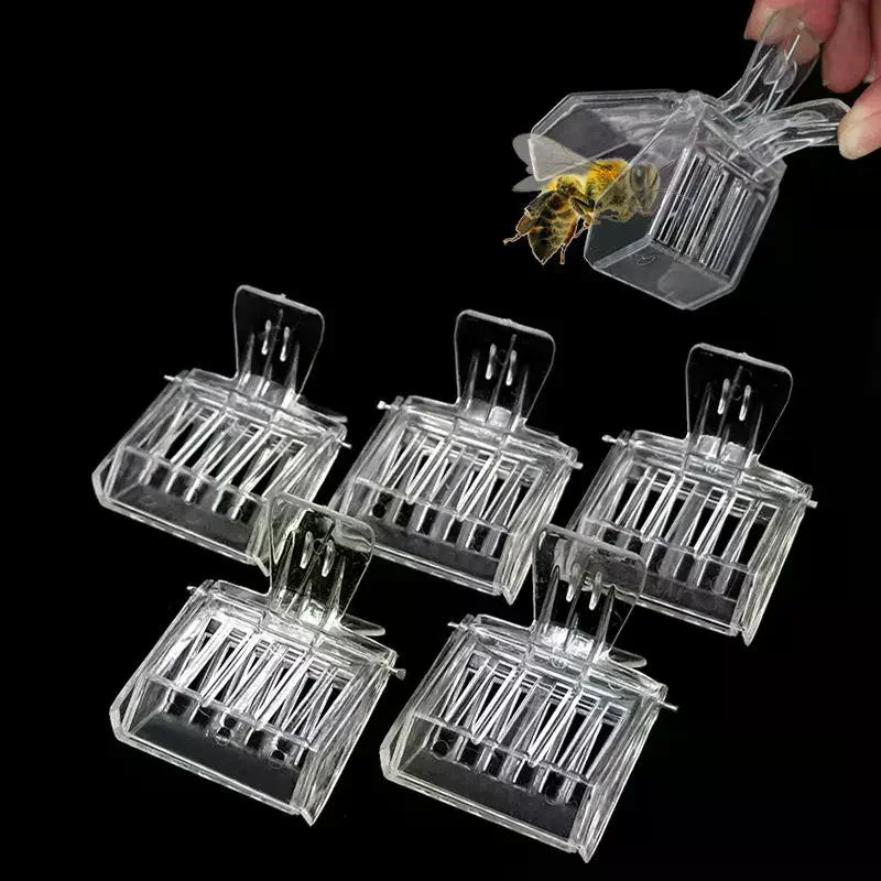 Transparent Clip-On Queen Bee Catcher Cages | 3 or 5 Pack Queen Bee Catcher Qme