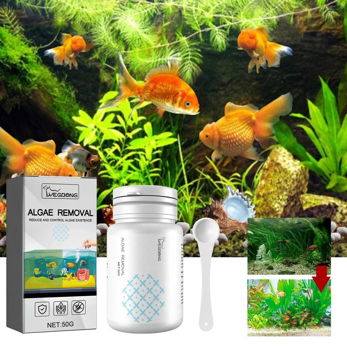 Aquarium Algae & Odor Clarifier | Fish Tank Moss Remover 50g Aquarium Clarifier Qme