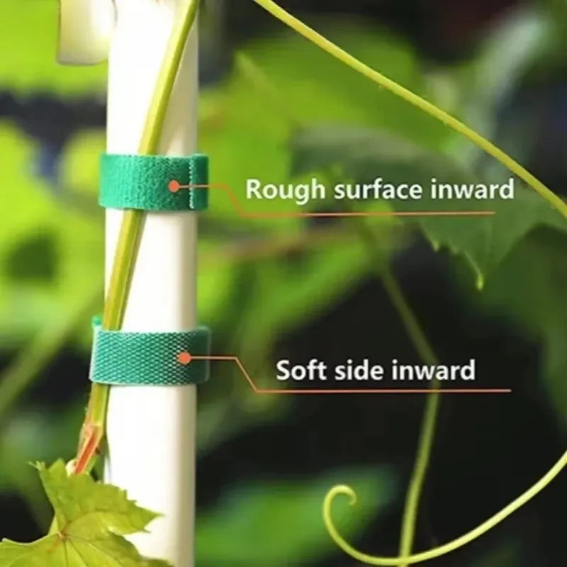 3 Rolls Green Garden Twine Plant Ties Nylon Hook & Loop Garden Plant Ties Qme