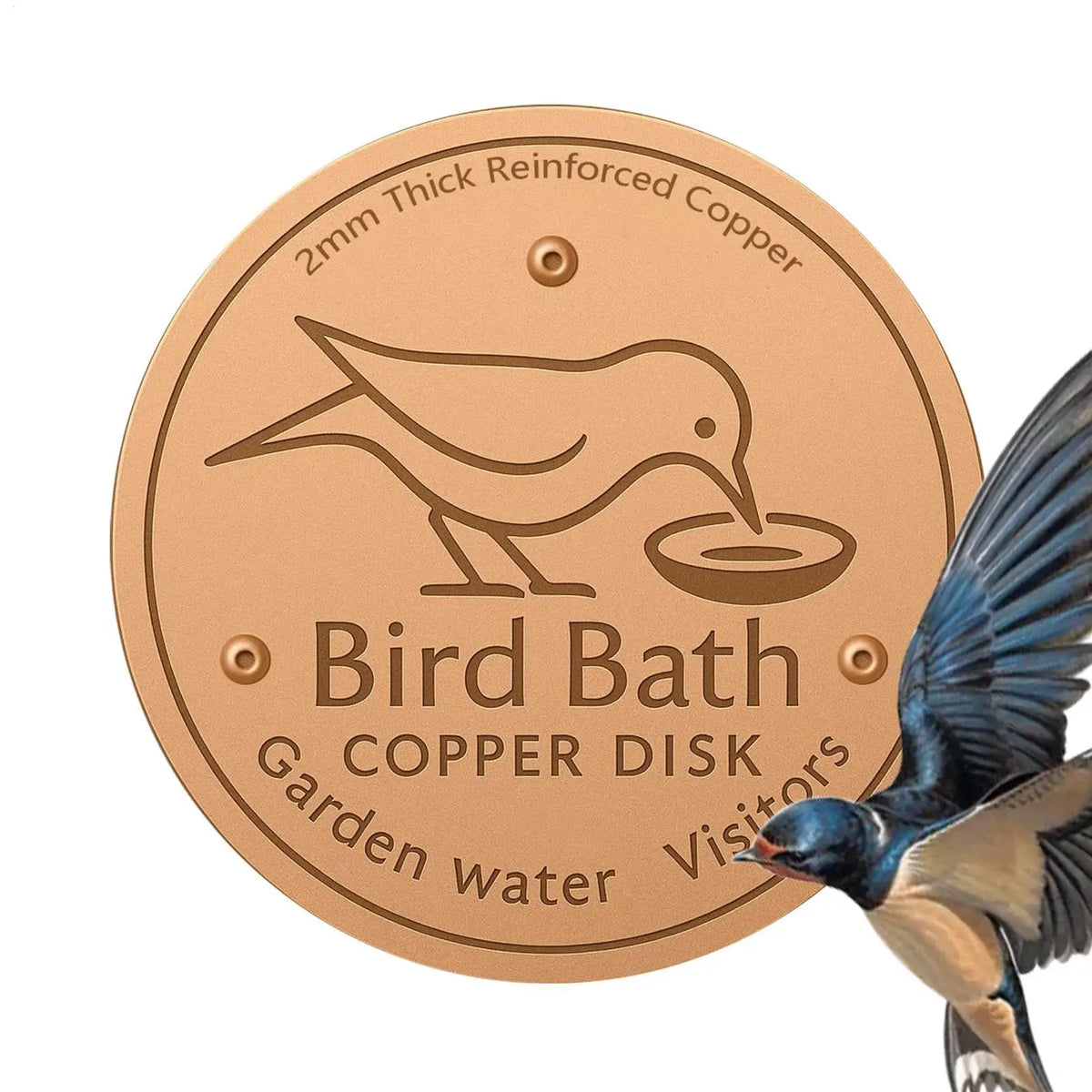 Copper Bird Bath Disk – Water Fountain Cleaning Purifier Bird Bath Accessory Qme