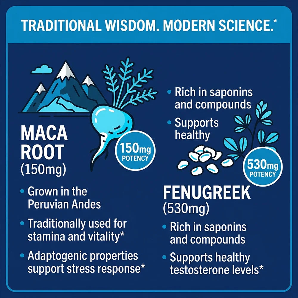 Maca Root Capsules – Vitamin B6, D3, Zinc & Magnesium Blend Herbal Supplement Qst