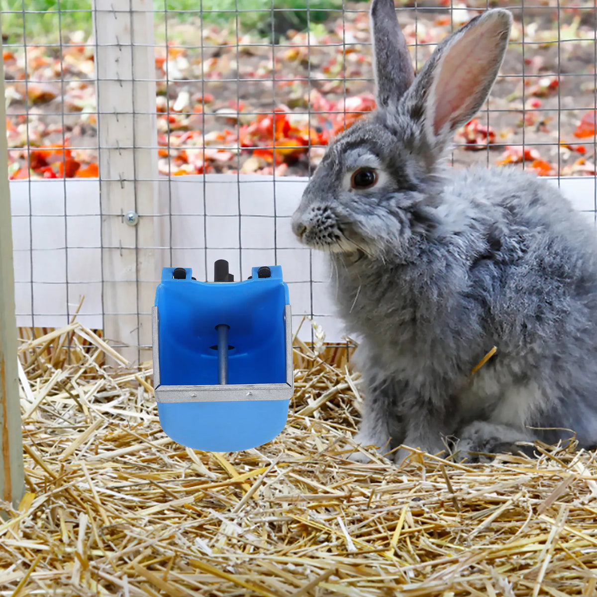 Stainless Steel Rabbit Auto Water Dispenser Bowl | Qme Pet Water Dispenser Qme