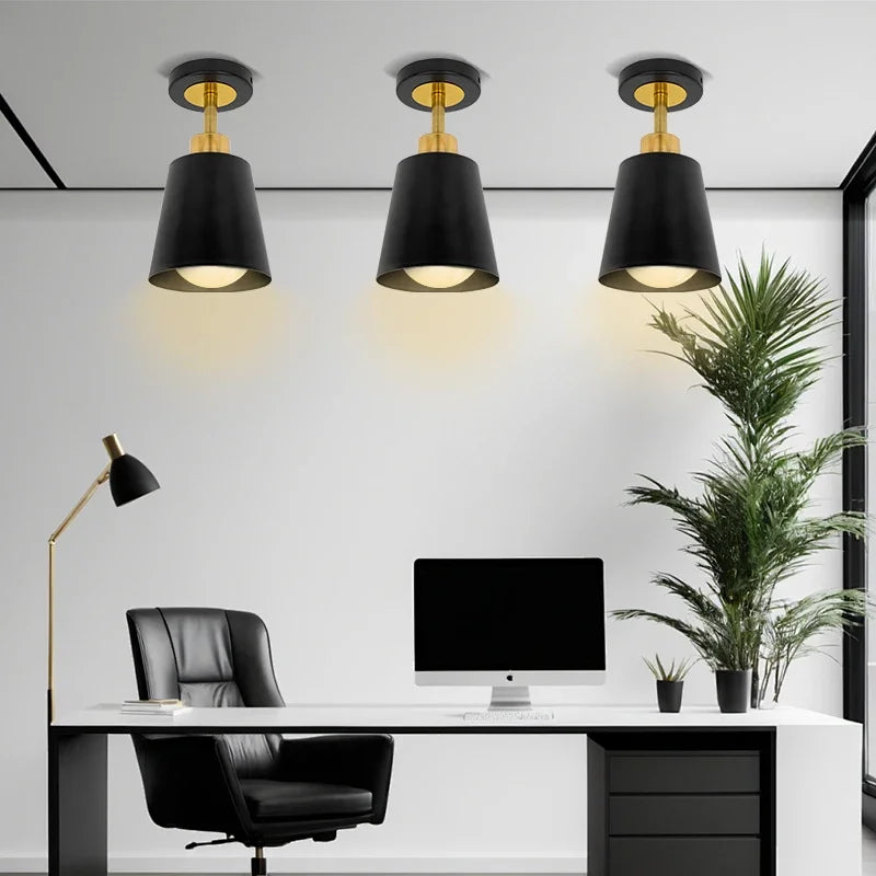 Modern Rotatable Ceiling Light for Hallway, Corridor & Balcony Ceiling Light Fixture Qme