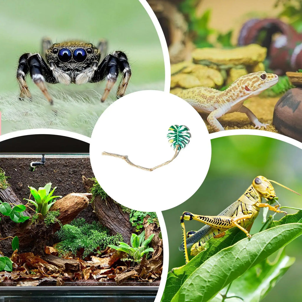 Jumping Spider Enclosure Accessories – Realistic Climbing Decor Spider Habitat Accessory Qme