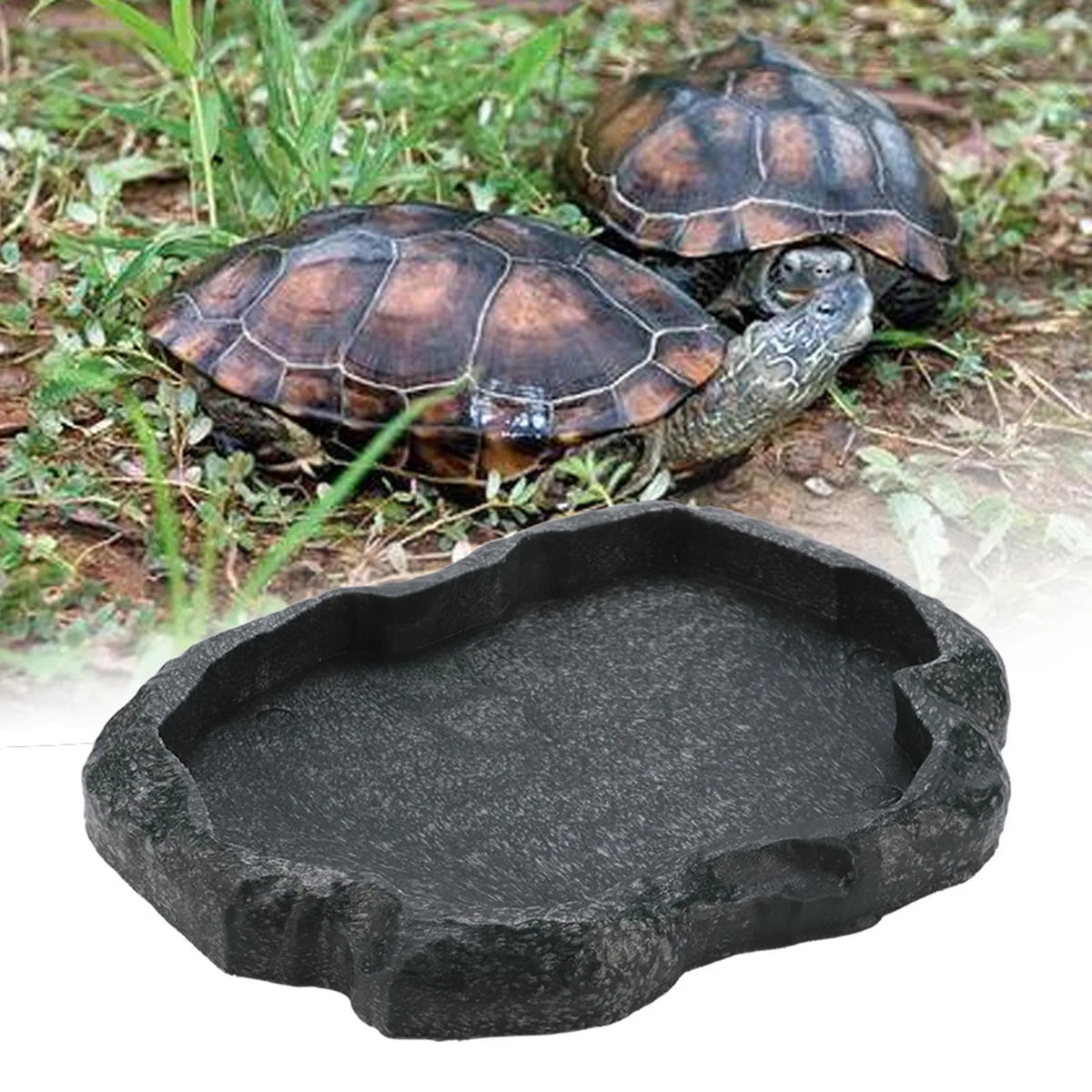 Tortoise Turtle ABS Resin Rock Feeder Food Water Dish Bowl Reptile Feeder Dish Qme