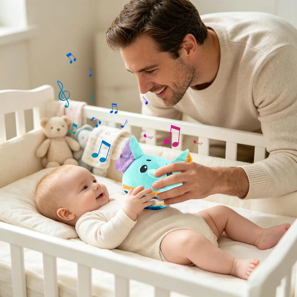Interactive Musical Plush Sensory Ball – Baby Crawling Toy Baby Sensory Toy Qme