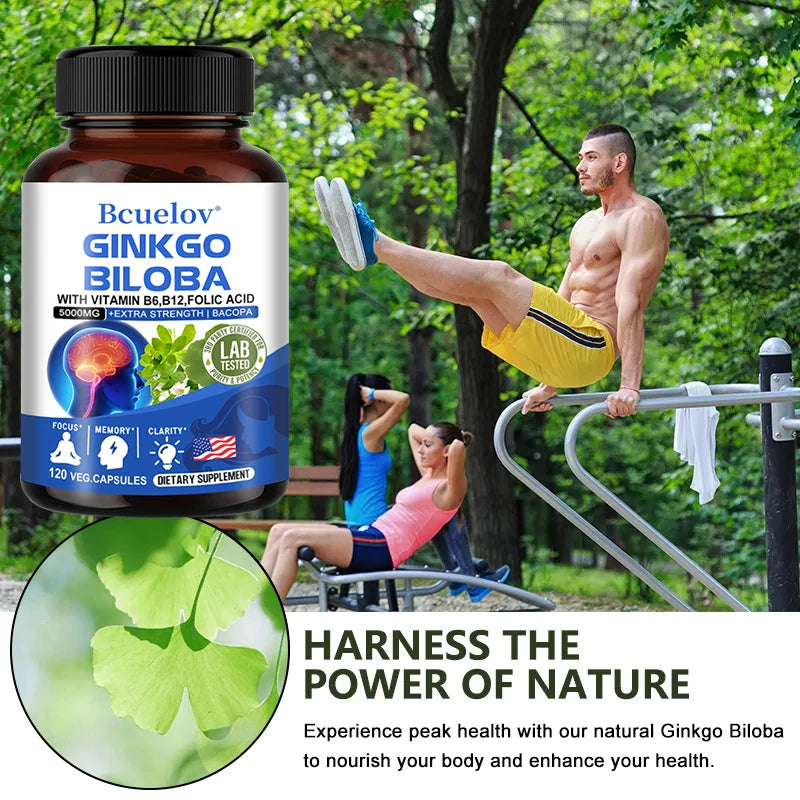 Ginkgo Biloba Capsules – Memory, Focus & Cognitive Support Herbal Supplement Qst