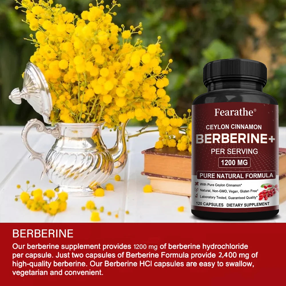 Berberine & Ceylon Cinnamon Capsules | Antioxidant Support Herbal Supplement Qst