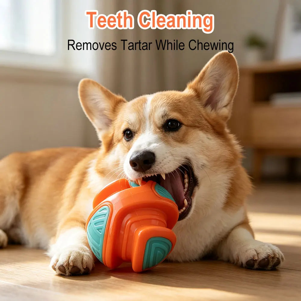 Squeaky TPR Dog Ball – Chew & Dental Toy for Small Dogs Dog Chew Toy Qst