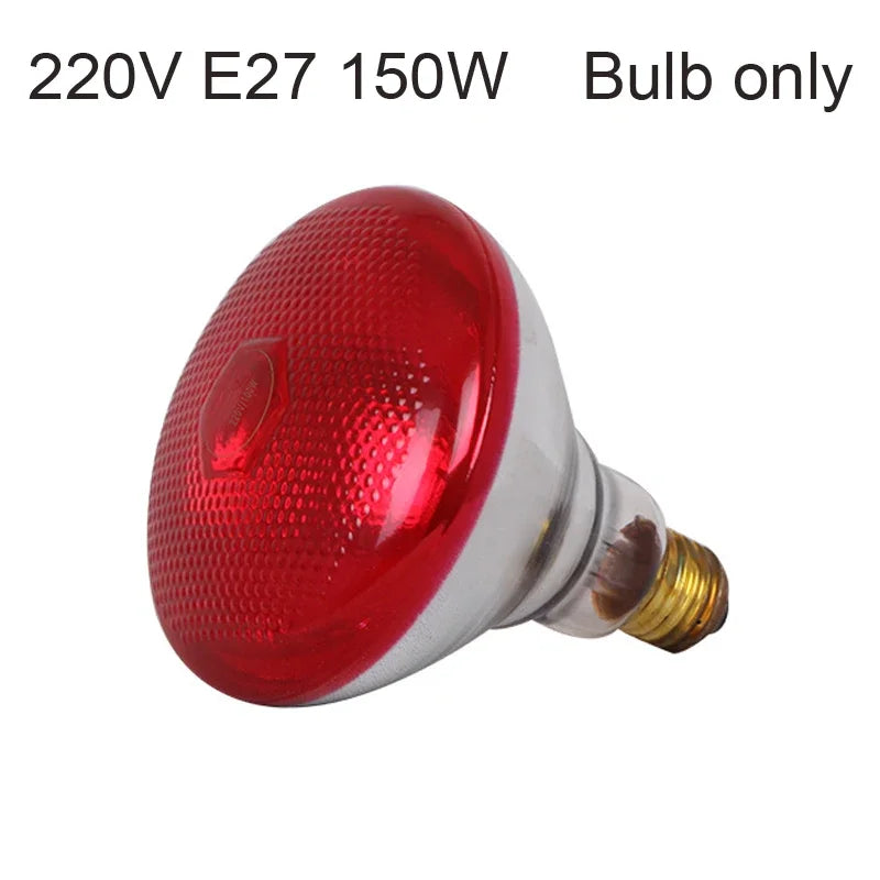 ZONGKUNG Infrared Heat Lamp – Targeted Warmth Therapy Infrared Therapy Lamp Qst 1 Pcs Bulb