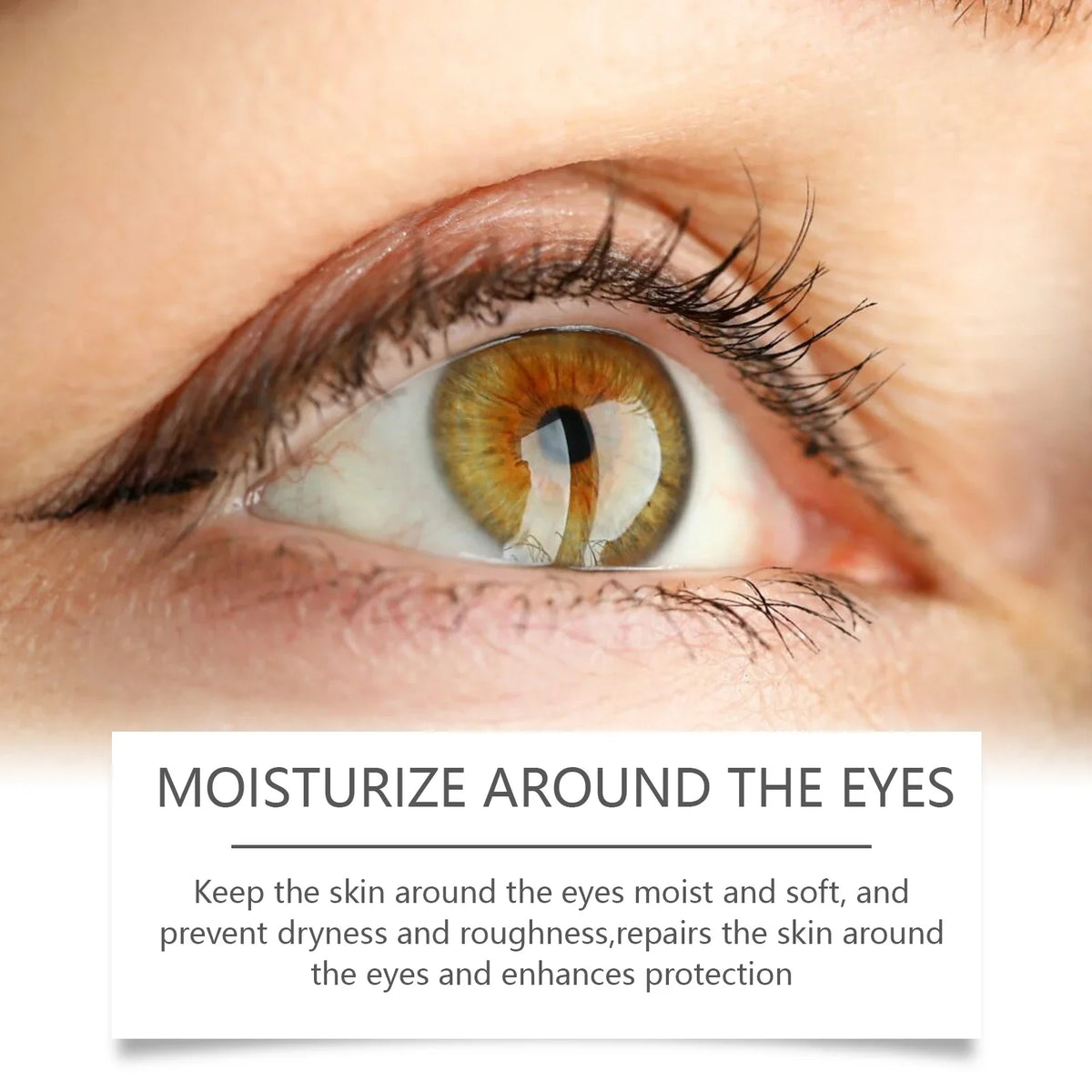 Bee Venom Eye Cream – Hydrating, Firming & Brightening Eye Cream Qme