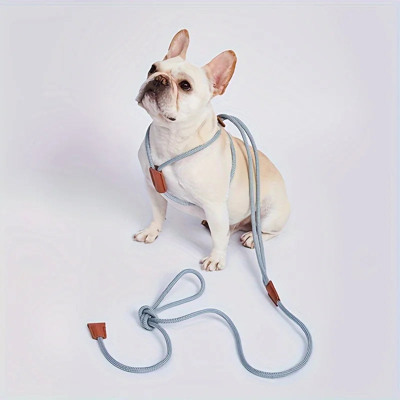 Adjustable Nylon Dog Harness Leash – Integrated Chest Strap Dog Harness Leash Qme