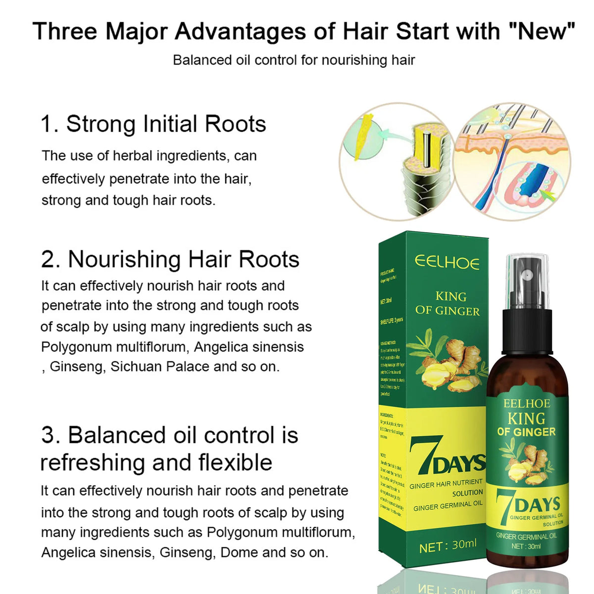 EELHOE 7-Day Ginger Hair Growth Spray Scalp Serum 50ml Hair Growth Serum Qst