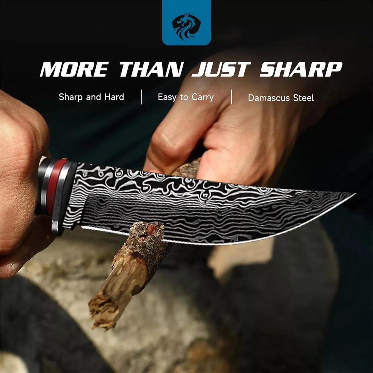 PLYS Outdoor Camping Knife – Sharp Stainless Steel Fruit & Meat Camping Knife Qst