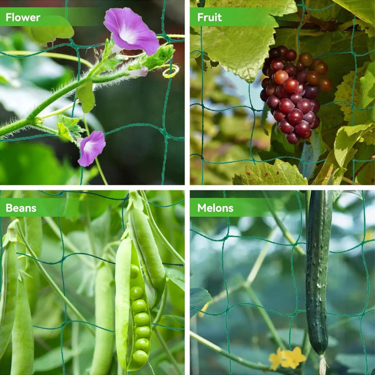 Garden Plant Climbing Trellis Net – Tomatoes, Flowers & Veg Plant Climbing Net Qme