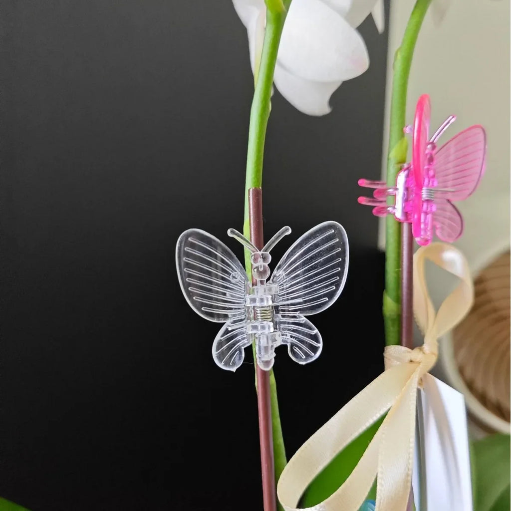 Butterfly Plant Support Clips – Reusable Stem & Vine Clamps Plant Support Clips Qme