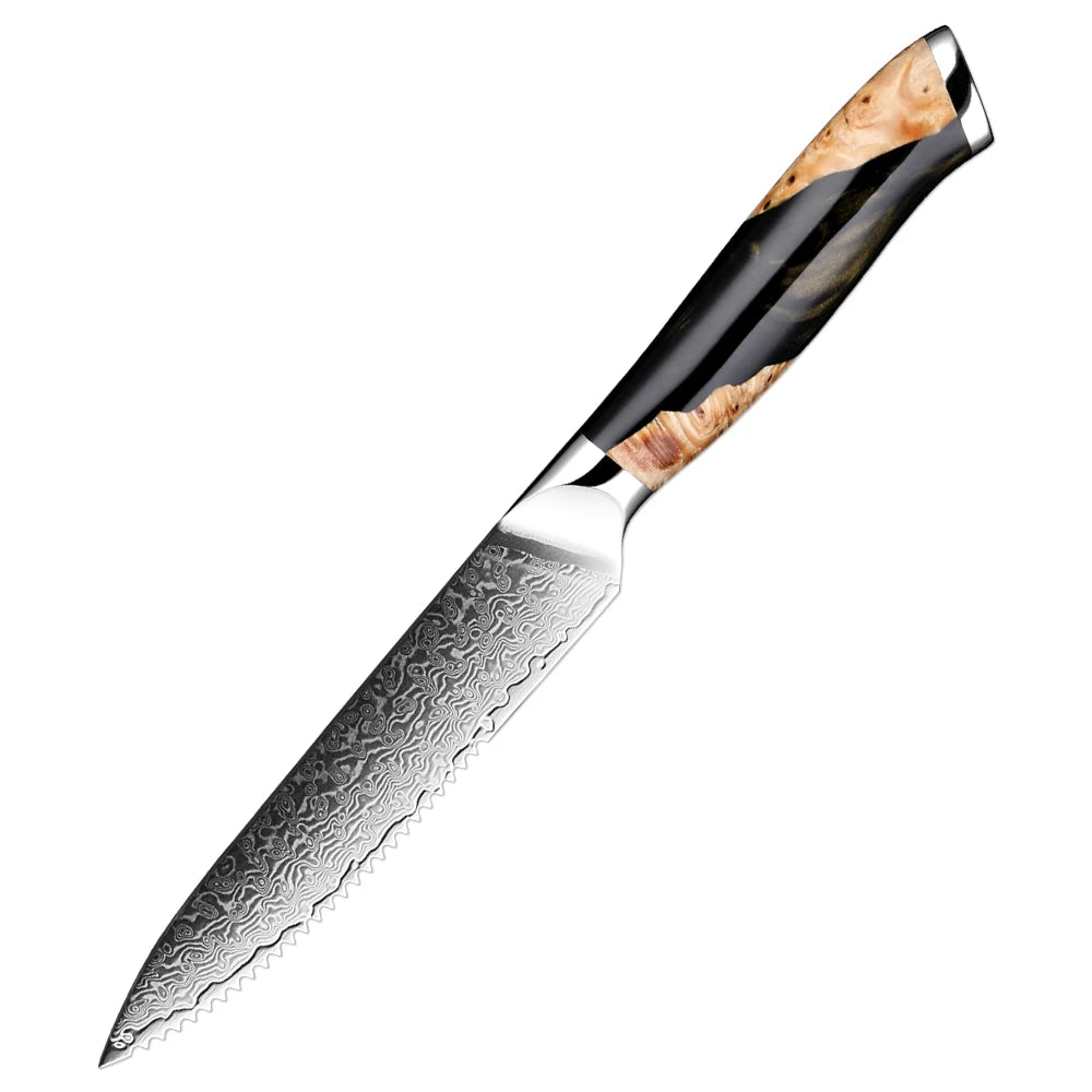 XITUO Damascus Steel Kitchen Knife Set – Santoku & Utility 1–6PCS Kitchen Knife Set Qst Steak Knife
