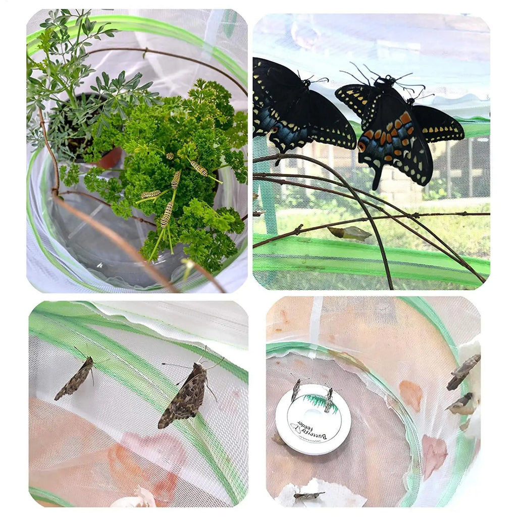 Mini Pop-Up Butterfly & Caterpillar Mesh Enclosure Habitat Butterfly Mesh Enclosure Qme