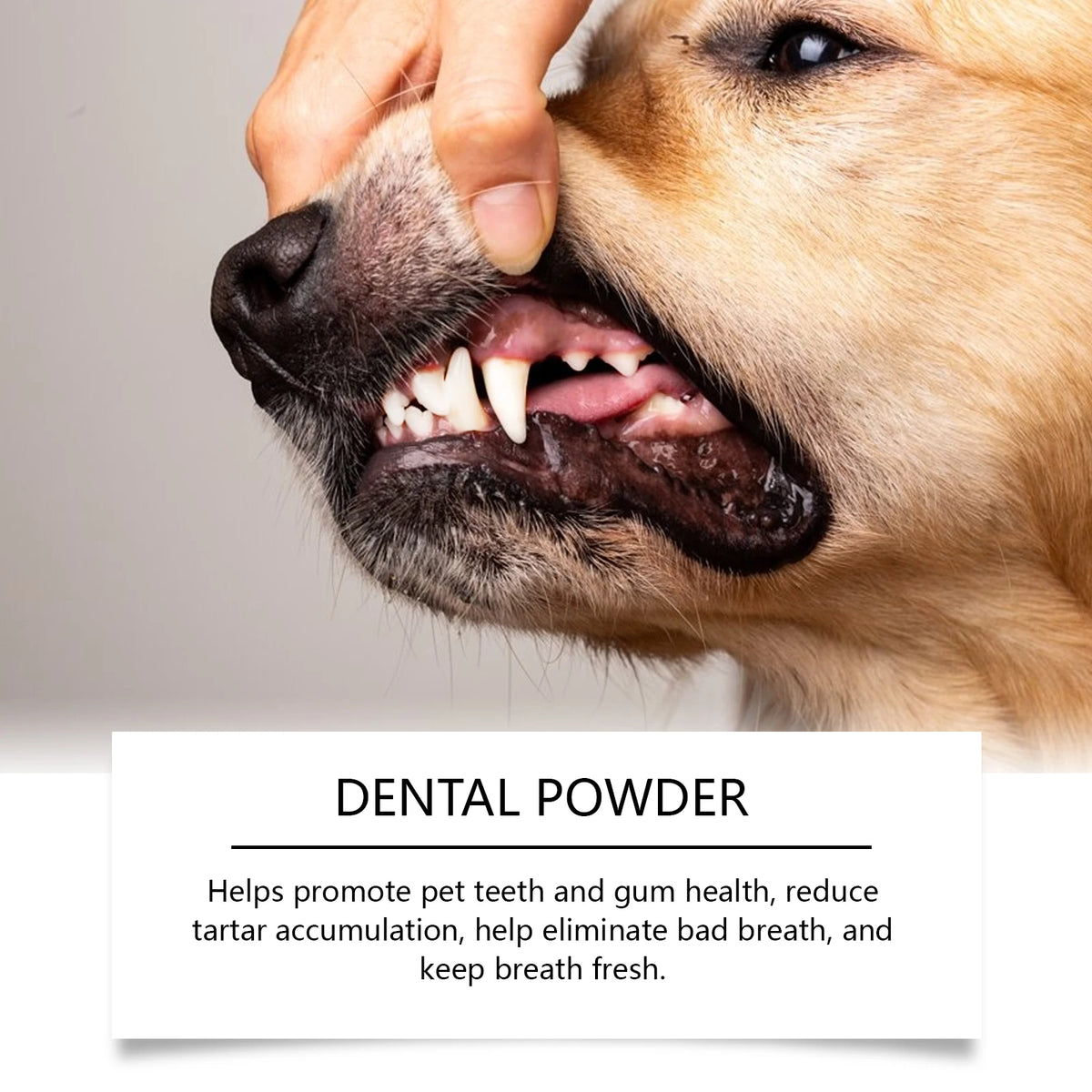 Yegbong Dog Dental Powder 150g – Tartar & Breath Care Pet Dental Powder Qst