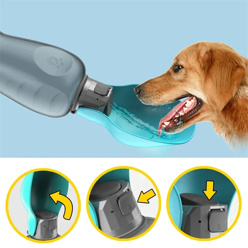 Portable Dog Water Bottle 800ml – Leakproof Outdoor Pet Bottle Pet Water Bottle Qme