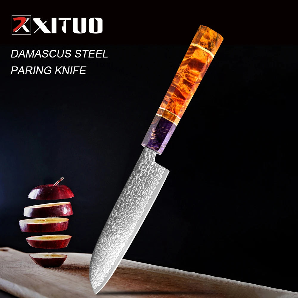 XITUO 5" Damascus Santoku Knife – 67-Layer VG10 Steel Chef Knife Damascus Chef Knife Qst santoku knife