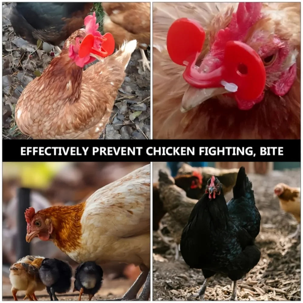 Peck-Resistant Chicken Goggles | Plastic Poultry Eye Protection Poultry Safety Goggles Qme