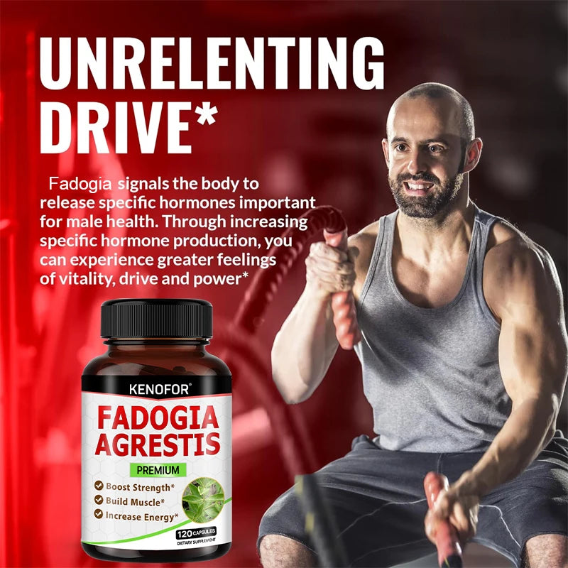 Fadogia Agrestis 800mg – Maca, Ashwagandha & Tribulus Capsules Herbal Supplement Capsules Qst
