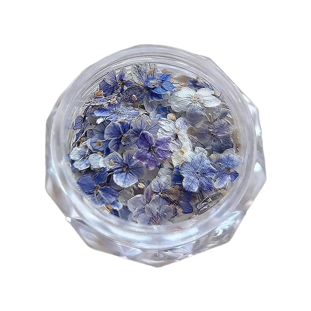 3D Dried Flower Nail Art Stickers – Floral Decal Mix Nail Art Stickers Qme D CN