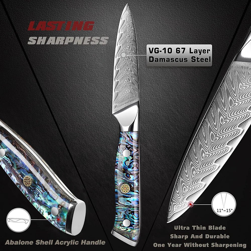 XITUO 3.5" Damascus VG10 Paring Knife – Razor Sharp Kitchen Knife Damascus Paring Knife Qst