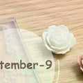 3D Rose Ice Flower Silicone Resin Mold – Nail Art Charms Silicone Resin Mold Qme Default Title