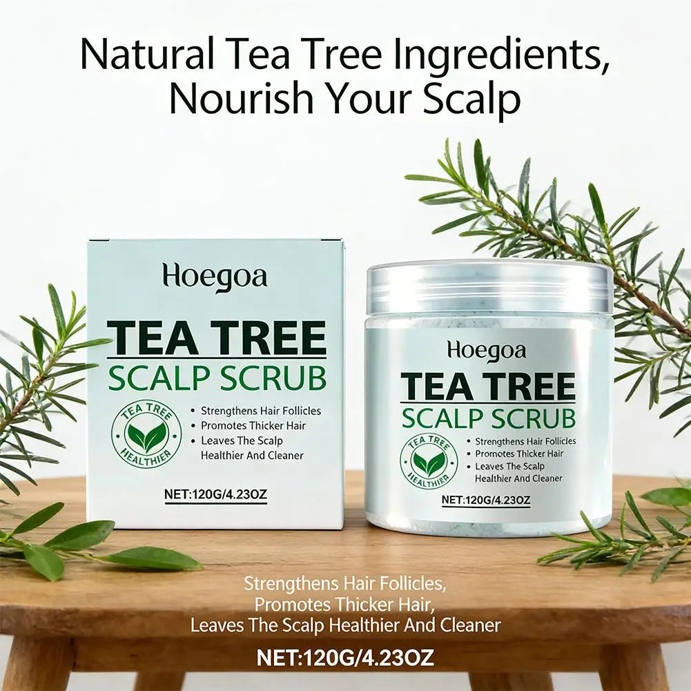 Tea Tree Scalp Scrub – Deep Cleanse & Moisturizing | Hoegoa Scalp Scrub Treatment Qme