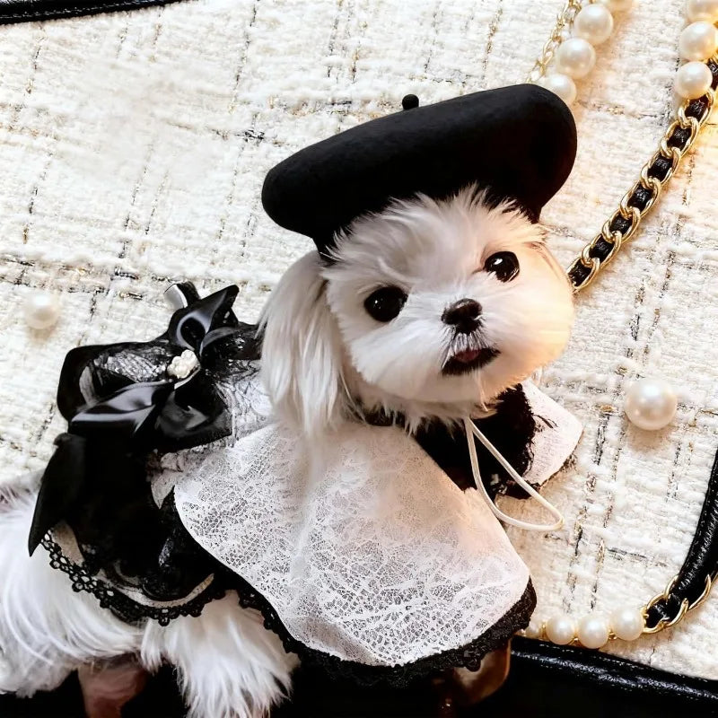 Pet Beret Hat for Small Dogs & Cats – Cute Wool Photo Prop Pet Costume Hat Qme