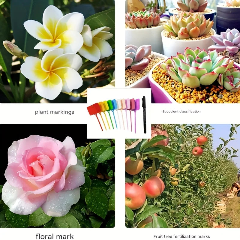 T-Shaped Colorful Garden Plant Labels & Permanent Marker | Qme Garden Plant Labels Qme