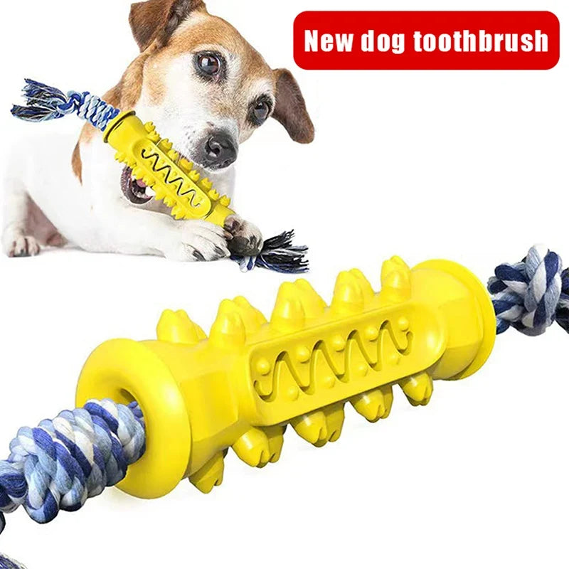 Dog Toothbrush Chew Toy – Safe TPR Dental Cleaning Toy Dog Dental Chew Toy Qme