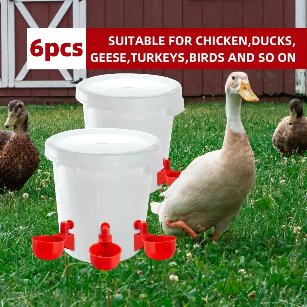 Automatic Poultry Water Dispenser for Chickens, Geese & Quail Poultry Water Dispenser Qme