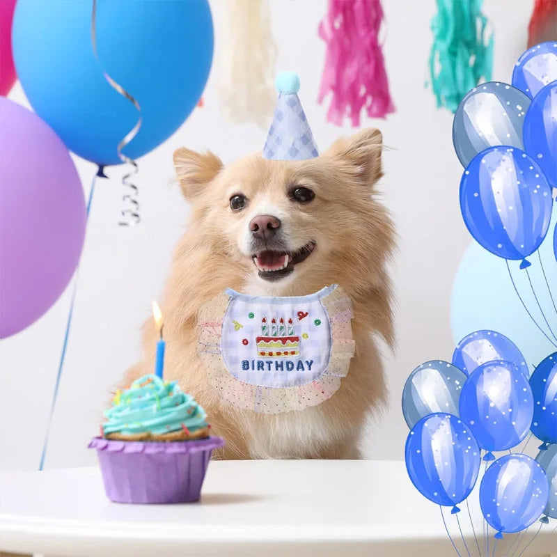 2-Piece Pet Birthday Hat & Scarf Set – Cute Embroidered Cat Pet Party Costume Set Qme
