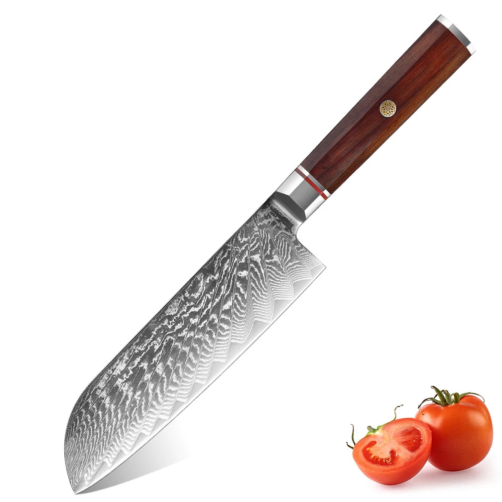 XITUO Damascus Steel Kitchen Knife Set – 67-Layer VG10 Kitchen Knife Set Qst Santoku Knife