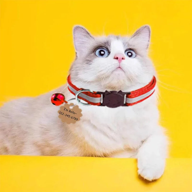 Reflective Cat Collar with Bell – 6-Piece Nylon Set Cat Collar Set Qme