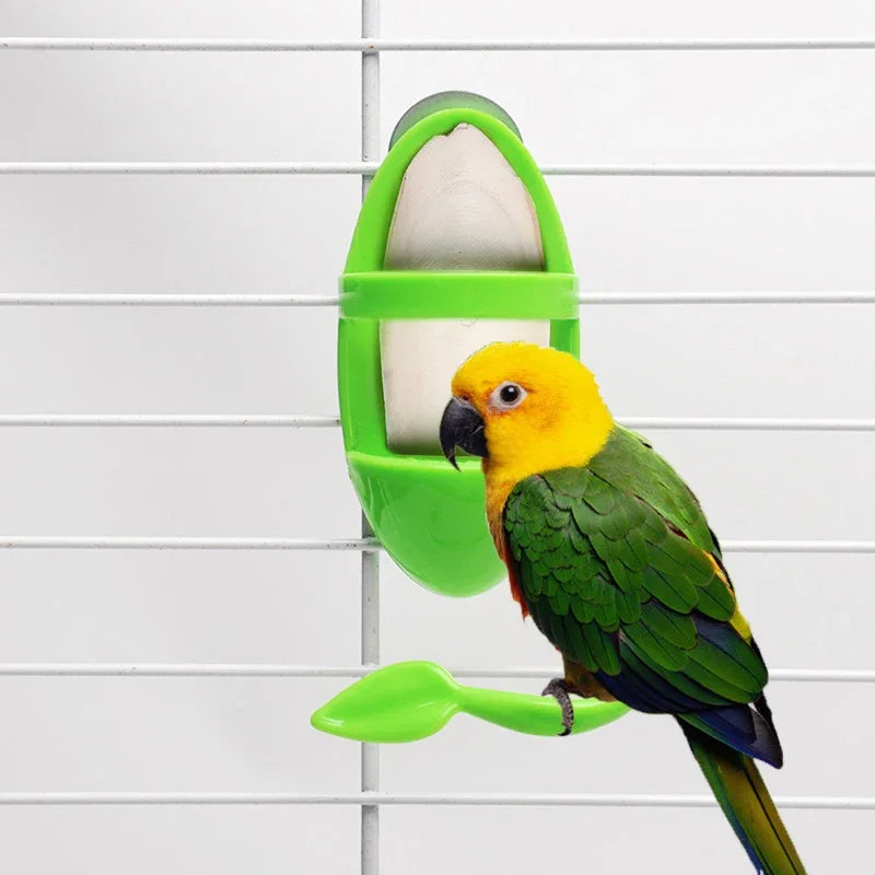 Bird Cage Feeding Holder – Cuttlebone, Vegetable & Fruit Clip Bird Cage Feeder Qme