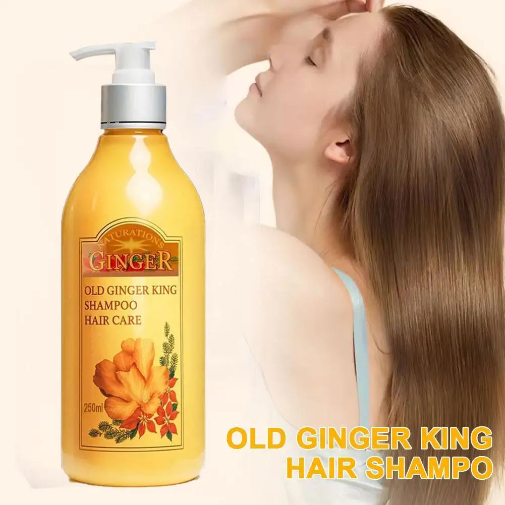 Old Ginger Juice Shampoo – Professional Scalp Treatment 1L Scalp Treatment Shampoo Qme
