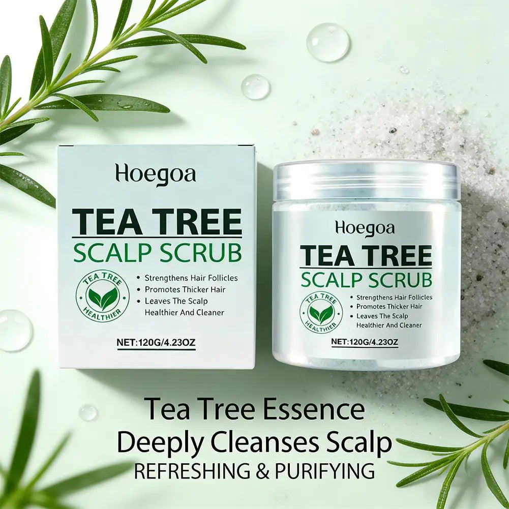 Tea Tree Scalp Scrub – Deep Cleanse & Moisturizing | Hoegoa Scalp Scrub Treatment Qme